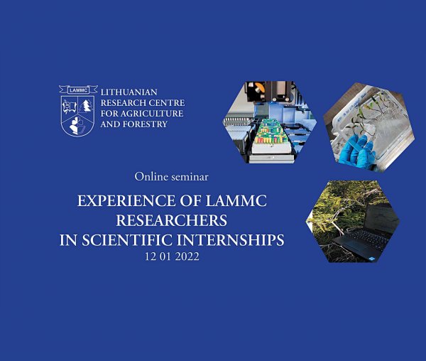 Online seminar EXPERIENCE OF LAMMC RESEARCHERS IN SCIENTIFIC INTERNSHIPS
