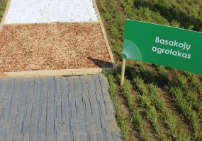 Parodoje „Agrovizija 2022“ susitiko žemės ūkio verslo profesionalai - 39