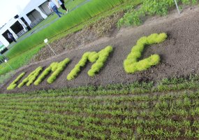 Parodoje „Agrovizija 2022“ susitiko žemės ūkio verslo profesionalai - 1