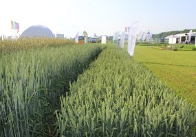 Parodoje „Agrovizija 2022“ susitiko žemės ūkio verslo profesionalai - 2