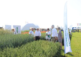 Parodoje „Agrovizija 2022“ susitiko žemės ūkio verslo profesionalai - 13