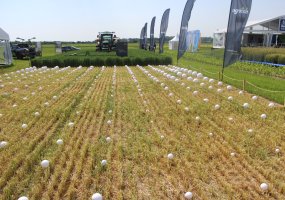 Parodoje „Agrovizija 2022“ susitiko žemės ūkio verslo profesionalai - 33