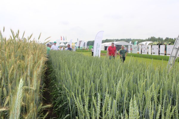 Parodoje „Agrovizija 2022“ susitiko žemės ūkio verslo profesionalai