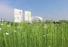 Parodoje „Agrovizija 2022“ susitiko žemės ūkio verslo profesionalai - 41