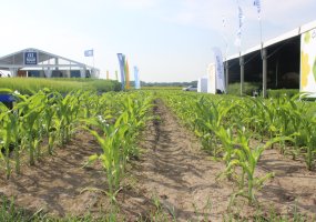 Parodoje „Agrovizija 2022“ susitiko žemės ūkio verslo profesionalai - 44