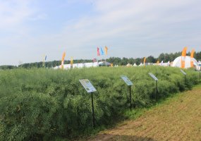 Parodoje „Agrovizija 2022“ susitiko žemės ūkio verslo profesionalai - 46
