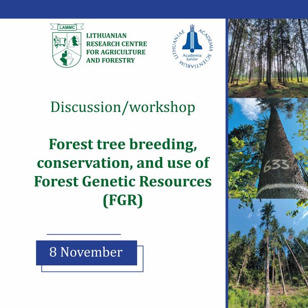 Diskusija-seminaras „Miško medžių selekcija, genetiniai ištekliai, jų apsauga ir naudojimas“